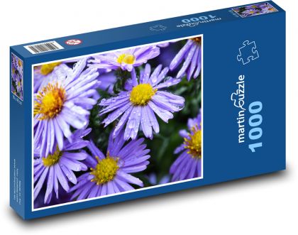 Astra - modrý květ, zahrada - Puzzle 1000 dílků, rozměr 60x46 cm