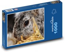 Králik - domáce zviera, zajačik Puzzle 1000 dielikov - 60 x 46 cm 
