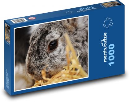 Králíček - domácí zvíře, zajíček - Puzzle 1000 dílků, rozměr 60x46 cm