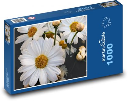 Jarní květy na zahradě - puzzle 1000 dílků