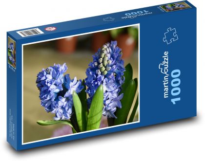 Hyazinthe - blaue Blume, Garten - Puzzle - 1000 Teile