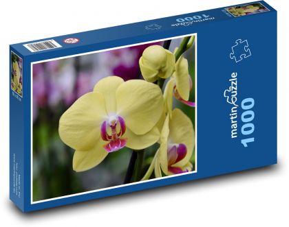 Žlutá orchidej - puzzle 1000 dílků