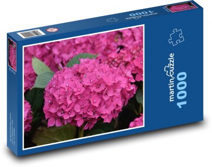 Květina - hortenzie, růžový květ - puzzle 1000 dílků