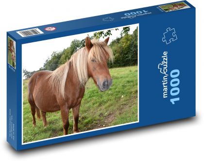 Shetlandpony - Pferd, Bauernhof - Puzzle - 1000 Teile