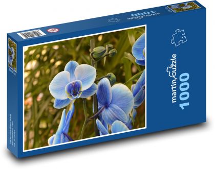 Orchidej - modrý květ, květina - puzzle 1000 dílků