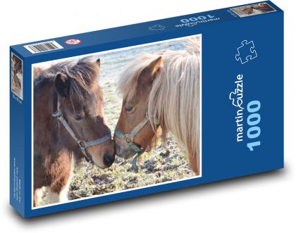 Shetlendský pony, zviera - Puzzle 1000 dielikov, rozmer 60x46 cm