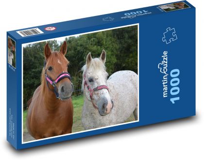 Mare - horse, animals - Puzzle 1000 pieces, size 60x46 cm 