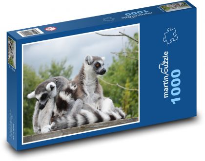 Lemuři - zvířata, opice - Puzzle 1000 dílků, rozměr 60x46 cm