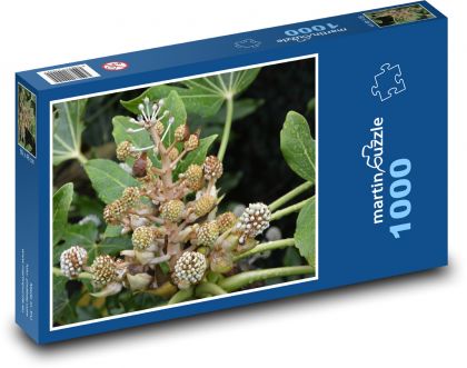 Rośliny - zielone kwiaty, ogród - Puzzle 1000 elementów, rozmiar 60x46 cm