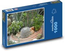 Kaktusy - rostliny, zahrada Puzzle 1000 dílků - 60 x 46 cm