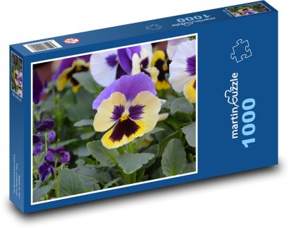 Pansy - flower, garden - Puzzle 1000 pieces, size 60x46 cm 