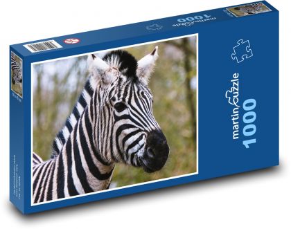 Zebra - zvíře, Afrika - puzzle 1000 dílků