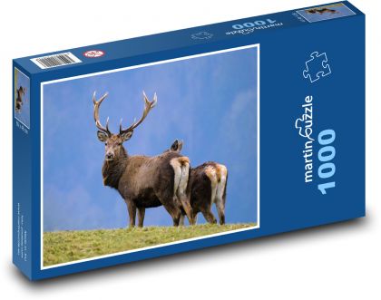 Jelen - parohy, divoká zvěř - puzzle 1000 dílků