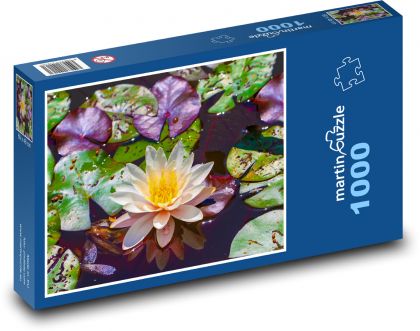 Leknín - rybník, květ - Puzzle 1000 dílků, rozměr 60x46 cm