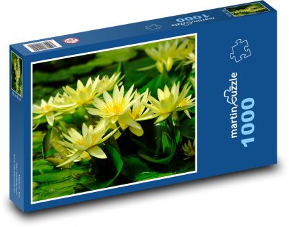 Leknín - žlutý květ, rybník - Puzzle 1000 dílků, rozměr 60x46 cm