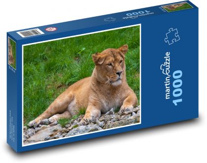Lvice - zvíře, dravec - Puzzle 1000 dílků, rozměr 60x46 cm