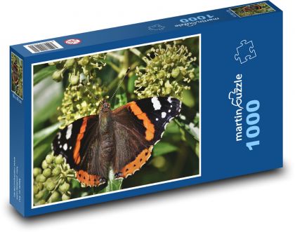 Motyl - owady, skrzydła motyla - Puzzle 1000 elementów, rozmiar 60x46 cm