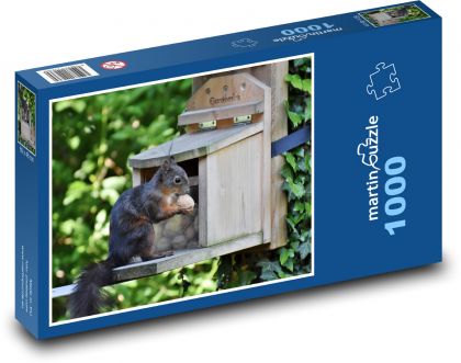 Veverka - zvíře, les - puzzle 1000 dílků
