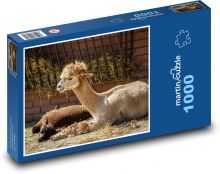 Alpaka - lama, zvíře Puzzle 1000 dílků - 60 x 46 cm
