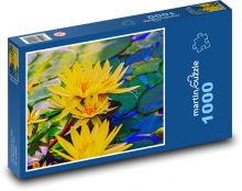 Leknín - žlutý květ, rybník Puzzle 1000 dílků - 60 x 46 cm