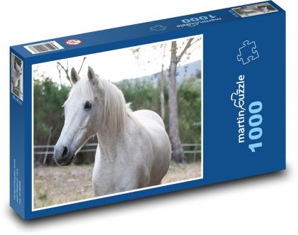 Australský pony - bílý kůň - Puzzle 1000 dílků, rozměr 60x46 cm