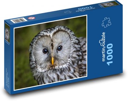Sova - pták, zvíře - puzzle 1000 dílků
