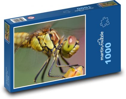Vážka - křídla vážka, hmyz - Puzzle 1000 dílků, rozměr 60x46 cm