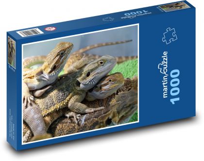 Ještěrka - agama, plaz - Puzzle 1000 dílků, rozměr 60x46 cm