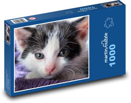 Katze - Kätzchen, Haustier - Puzzle - 1000 Teile