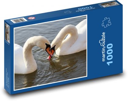 Swan - bird, lake - Puzzle 1000 pieces, size 60x46 cm 