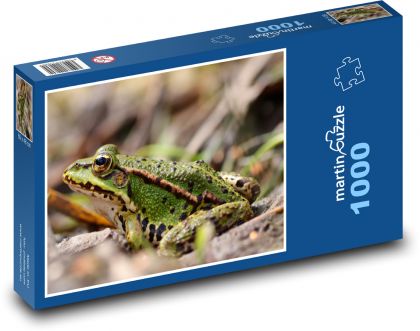 Žába - příroda, obojživelník - Puzzle 1000 dílků, rozměr 60x46 cm