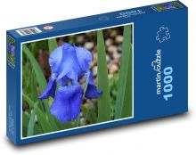 Kosatec - modrý, zahrada Puzzle 1000 dílků - 60 x 46 cm