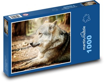 Vlk - zviera, príroda - Puzzle 1000 dielikov, rozmer 60x46 cm