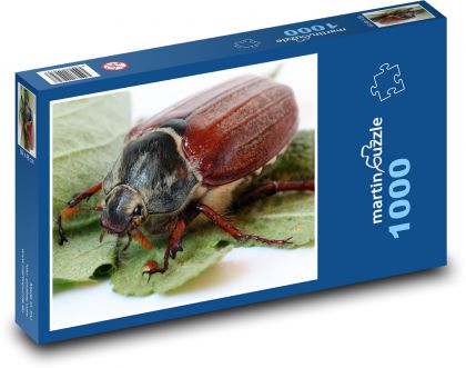 Chroust - hmyz, brouk - puzzle 1000 dílků
