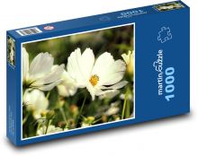 Kosmea - květina, zahrada Puzzle 1000 dílků - 60 x 46 cm