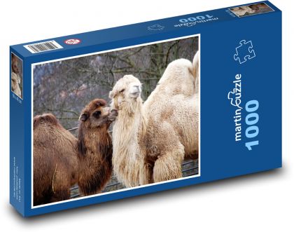 Wielbłąd - zwierzę, safari - Puzzle 1000 elementów, rozmiar 60x46 cm