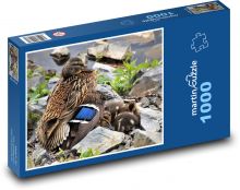 Kachna - kachňata, mláďata Puzzle 1000 dílků - 60 x 46 cm