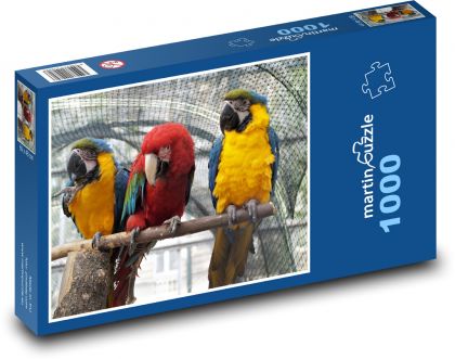 Papugi - Ara, ptaki - Puzzle 1000 elementów, rozmiar 60x46 cm