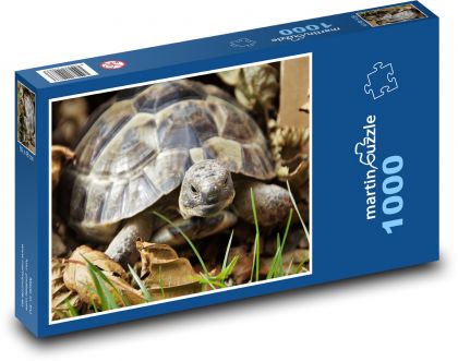 Turtle - reptile, shell - Puzzle 1000 pieces, size 60x46 cm 