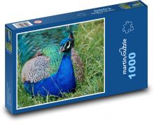 Páv - pták, peří Puzzle 1000 dílků - 60 x 46 cm