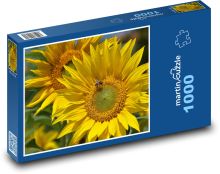 Slunečnice - žlutý květ, léto Puzzle 1000 - 60x46 cm