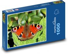 Motýl - paví oko Puzzle 1000 - 60x46 cm