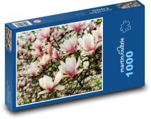 Magnólie - květ, keř Puzzle 1000 dílků - 60 x 46 cm