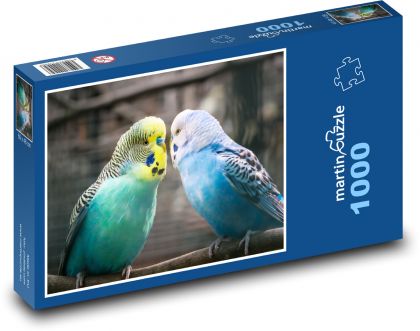 Andulka - ptáci, milovat - Puzzle 1000 dílků, rozměr 60x46 cm