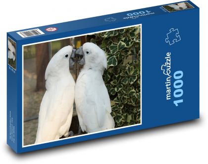 Papoušek - bílý pták - Puzzle 1000 dílků, rozměr 60x46 cm