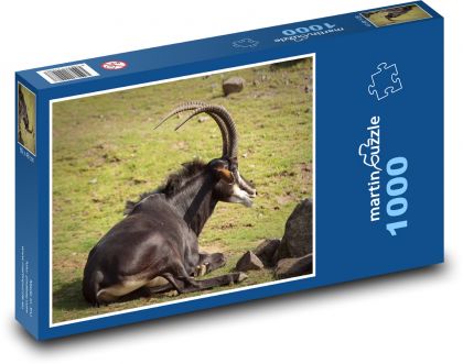 Antilopa - divoká zver - Puzzle 1000 dielikov, rozmer 60x46 cm