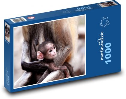 Opice - mláďa, opičiatko - Puzzle 1000 dielikov, rozmer 60x46 cm