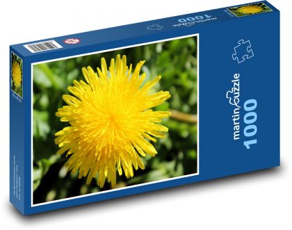 Pampeliška - žlutý květ, jaro - Puzzle 1000 dílků, rozměr 60x46 cm