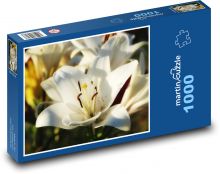 Biela ľalia - kvetina, záhrada Puzzle 1000 dielikov - 60 x 46 cm