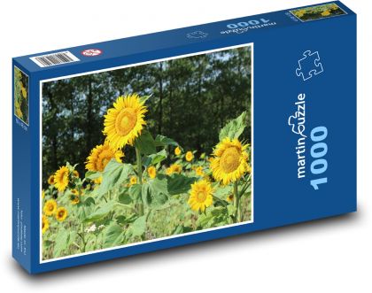 Slunečnice - žlutý květ, jaro - Puzzle 1000 dílků, rozměr 60x46 cm